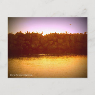 Carte Postale Coucher de soleil de Dana Point