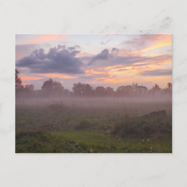 Carte Postale Coucher de soleil de Foggy Michigan (Devant)