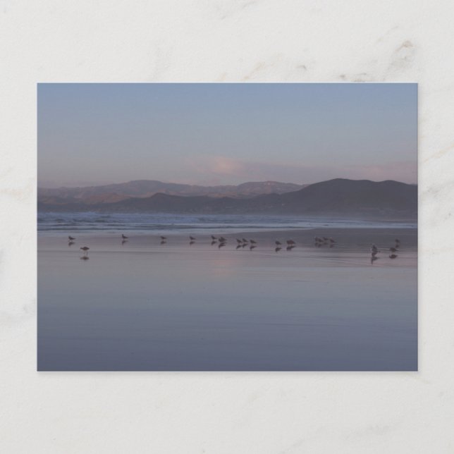 Carte Postale Coucher de soleil de la côte de Californie (Devant)