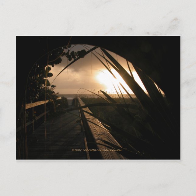 Carte Postale Coucher de soleil de Naples (Devant)