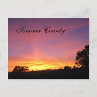 Carte Postale Coucher de soleil de père Noël Rosa