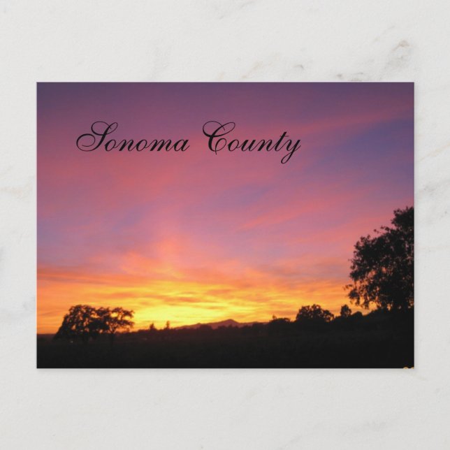 Carte Postale Coucher de soleil de père Noël Rosa (Devant)