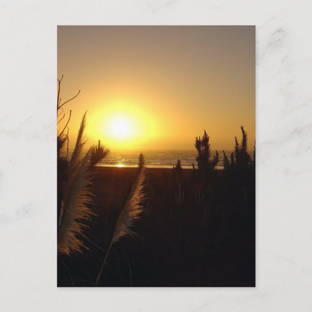 Carte Postale Coucher de soleil de Raglan (Devant)