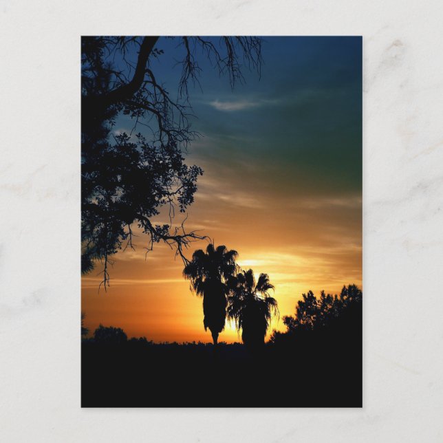 Carte Postale Coucher de soleil de San Diego (Devant)