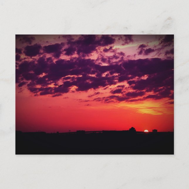 Carte Postale Coucher de soleil de Tampa Bay (Devant)