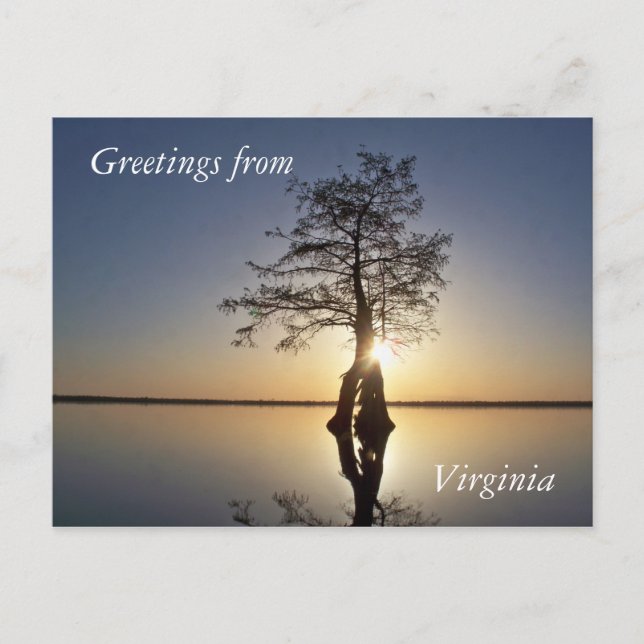 Carte Postale Coucher de soleil derrière un arbre (Devant)