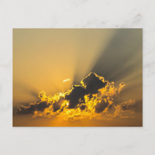 Carte Postale Coucher de soleil d'or illumine un nuage
