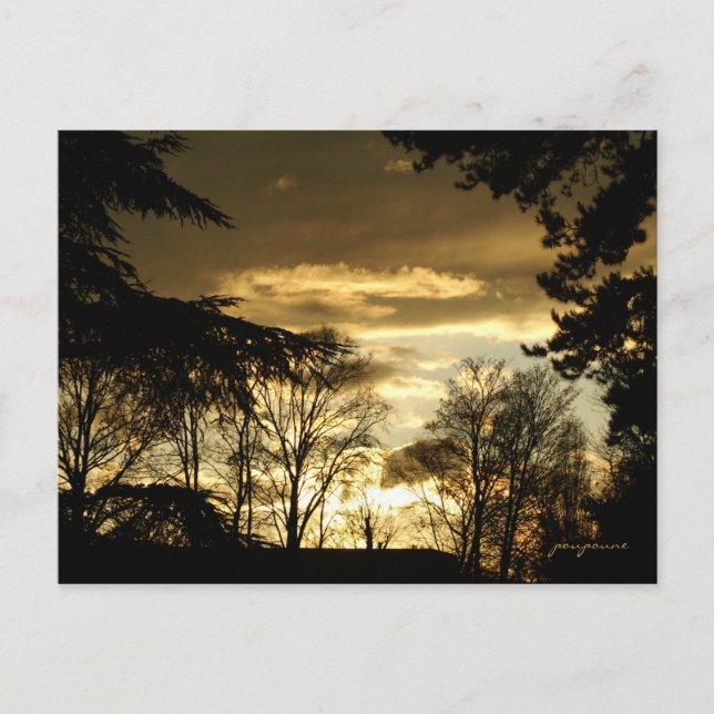 Carte Postale coucher de soleil doré (Devant)