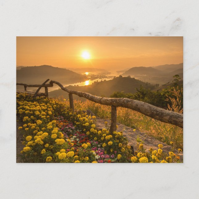 Carte Postale Coucher de soleil doré sur les collines en fleurs  (Devant)