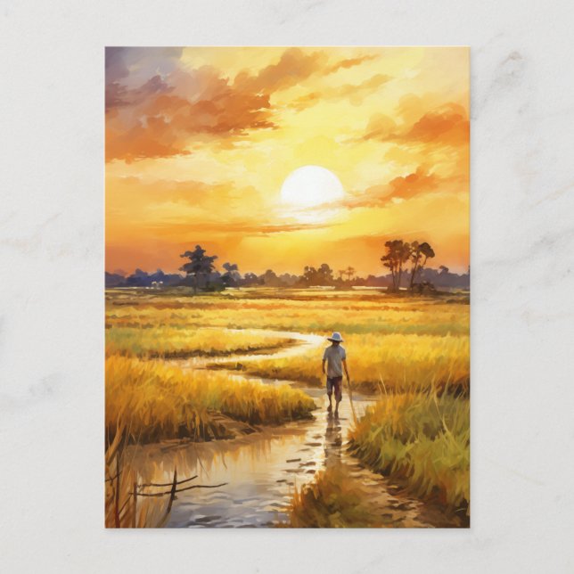 Carte Postale Coucher de soleil doré sur les rizières rurales (Devant)