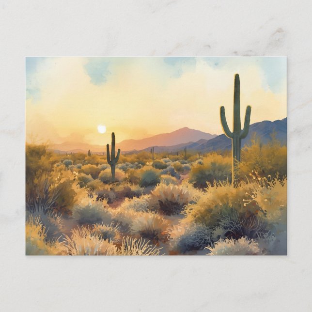 Carte Postale Coucher de soleil du désert de Saguaro Cactus (Devant)