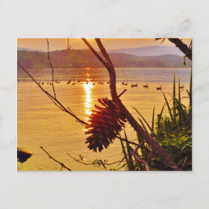 Carte Postale Coucher de soleil du lac Pinecone