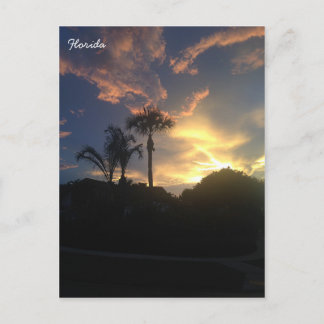 Carte Postale Coucher de soleil du palmier