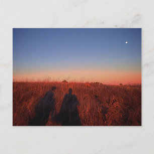 Carte Postale Coucher de soleil en Californie