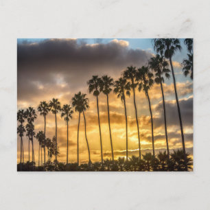 Carte Postale Coucher de soleil en Californie avec palmiers