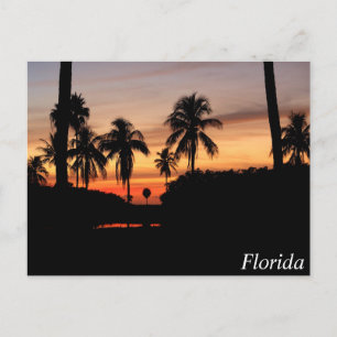 Carte Postale coucher de soleil en Floride