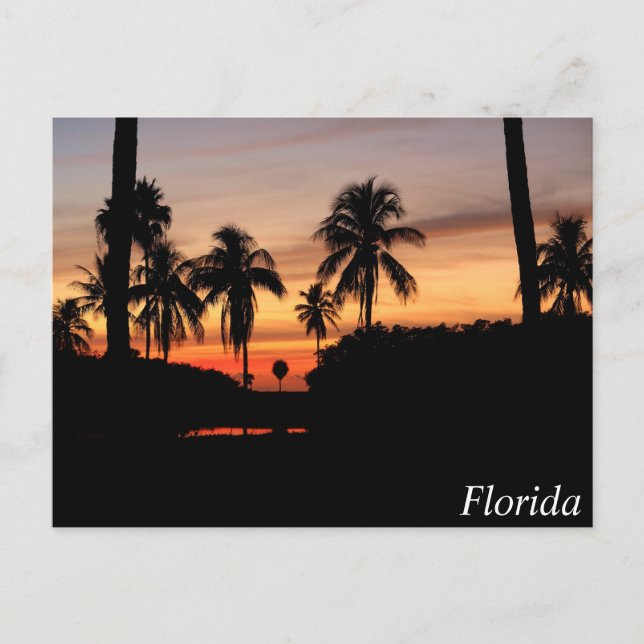 Carte Postale coucher de soleil en Floride (Devant)