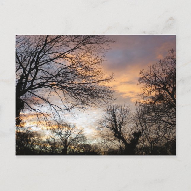 Carte Postale Coucher de soleil en hiver (Devant)