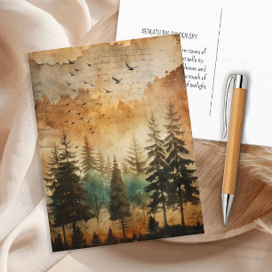 Carte Postale Coucher de soleil forêt Nature Bois rustique Vinta