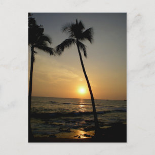 Carte Postale Coucher de soleil hawaïen d'or