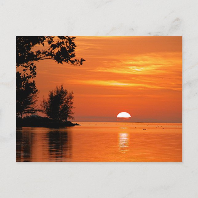 Carte Postale Coucher de soleil, Key West, Floride (Devant)