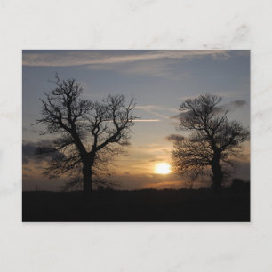 Carte Postale Coucher de soleil Lincolnshire