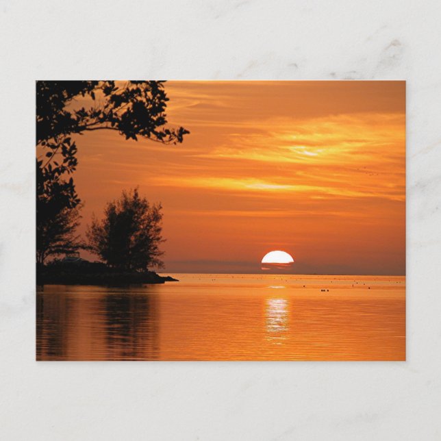 Carte Postale Coucher de soleil majestueux à Florida Keys (Devant)