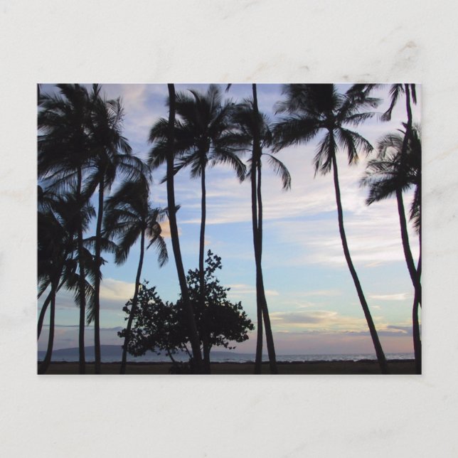 Carte Postale Coucher de soleil Maui 1 (Devant)
