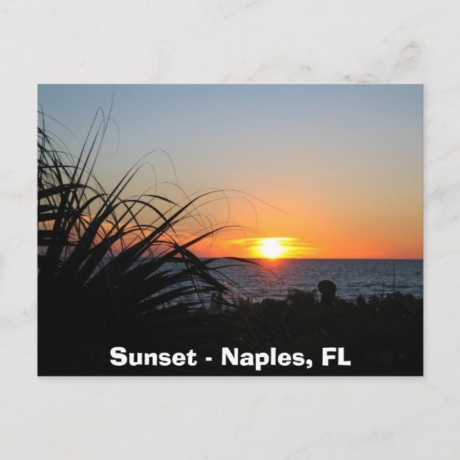 Carte Postale Coucher de soleil - Naples, FL (Devant)