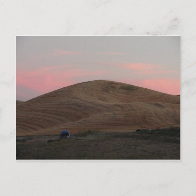 Carte Postale Coucher de soleil Omache Farm (Devant)