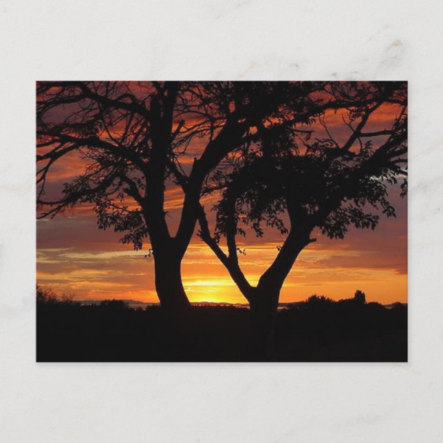 Carte Postale Coucher de soleil orange (Devant)