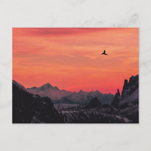 Carte Postale Coucher de soleil orange montagnes Oiseau dans le 