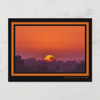 Carte Postale Coucher de soleil orange spectaculaire Palm Tree s