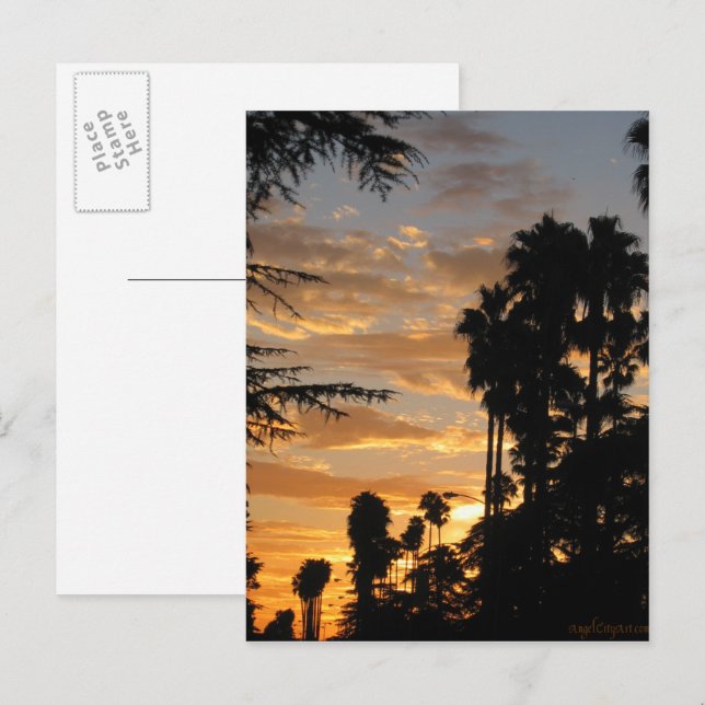Carte postale Coucher de soleil Palm Tree de Los A (Devant / Derrière)