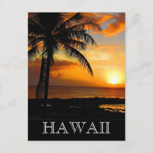 Carte Postale coucher de soleil palmier hawaii