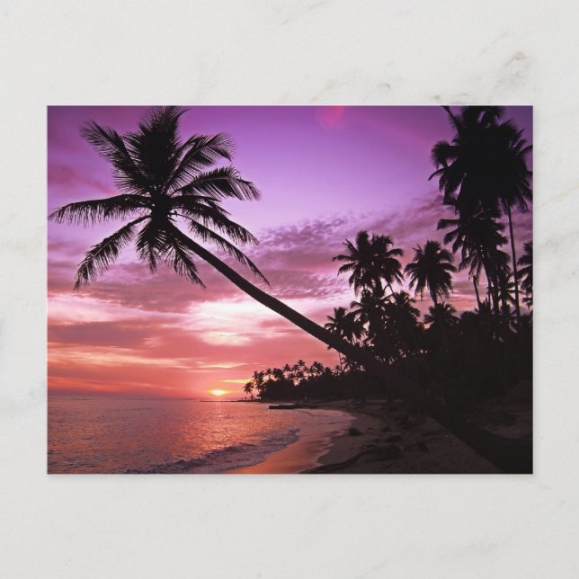 Carte Postale Coucher de soleil pittoresque (Devant)