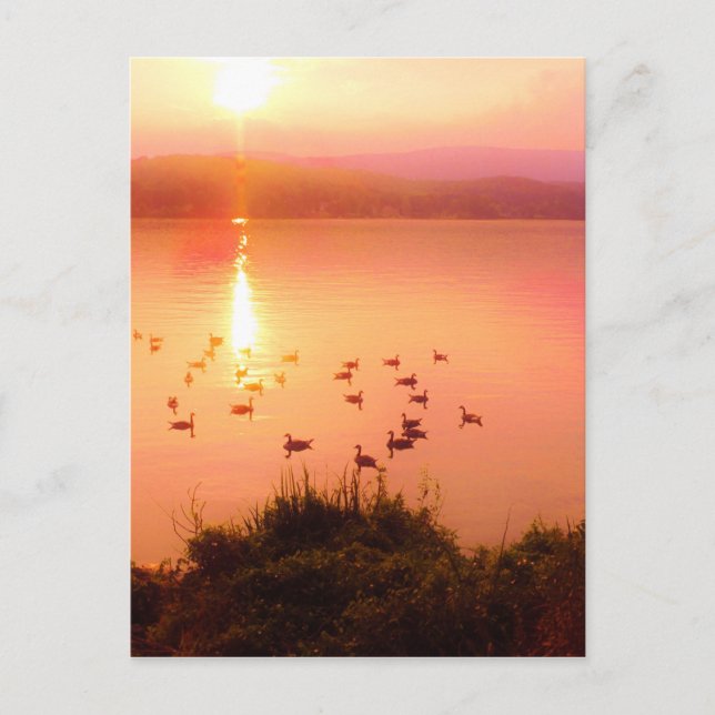 Carte Postale Coucher de soleil rose et de lac de pêche (Devant)