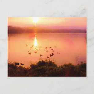 Carte Postale Coucher de soleil rose et de lac de pêche