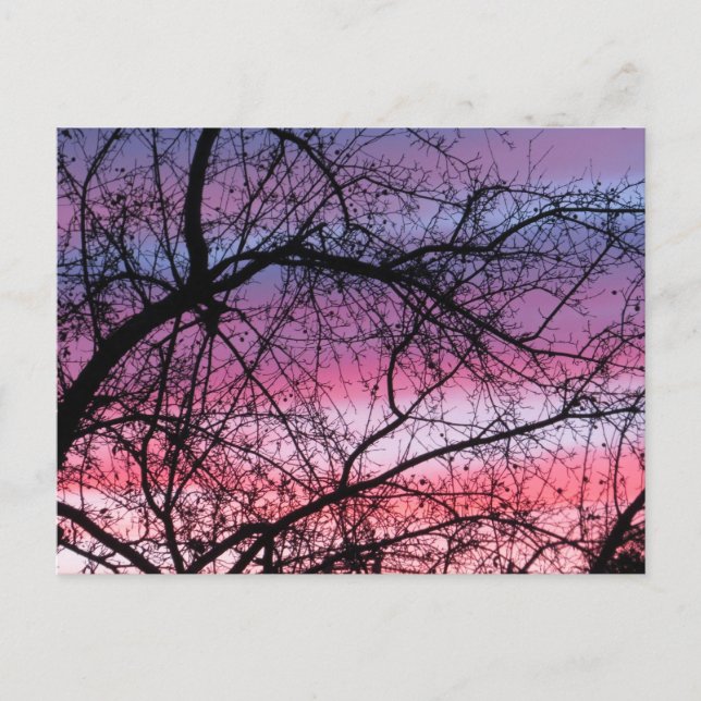 Carte Postale Coucher De Soleil Rose Et Violet (Devant)