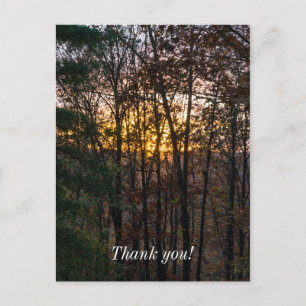 Carte Postale Coucher de soleil SDC Woody