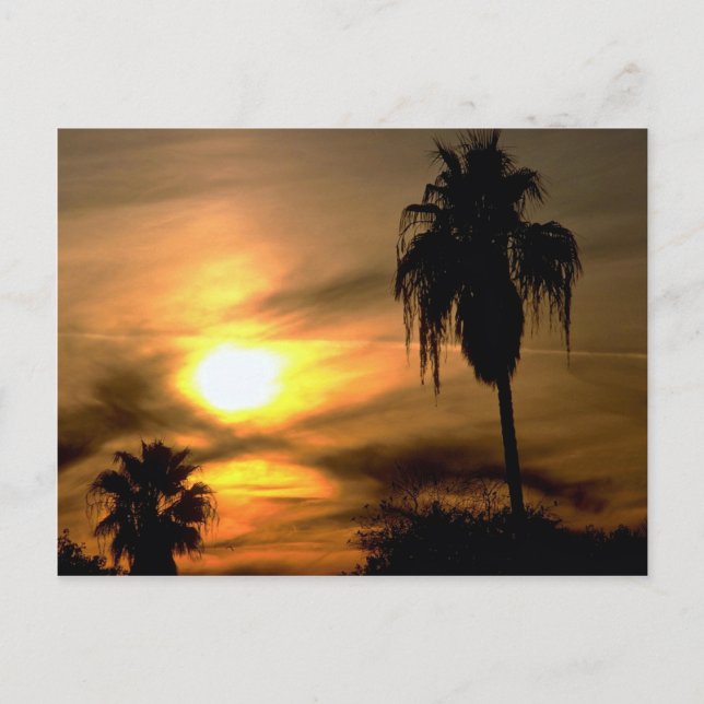 Carte Postale Coucher de soleil subtropical (Devant)