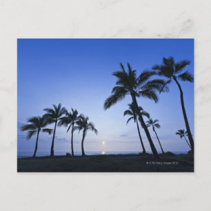 Carte Postale Coucher de soleil sur Kahaluu Bay à Kona, Hawaii