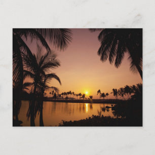 Carte Postale Coucher de soleil sur la baie d'Anaeho'omalu, Big 