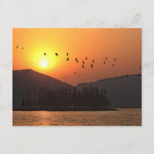 Carte Postale Coucher de soleil sur la photo du lac Est