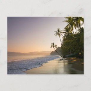 Carte Postale Coucher de soleil sur la plage encadrée de palmier