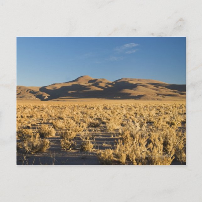 Carte Postale Coucher de soleil sur l'Altiplano d'Argentine (Devant)