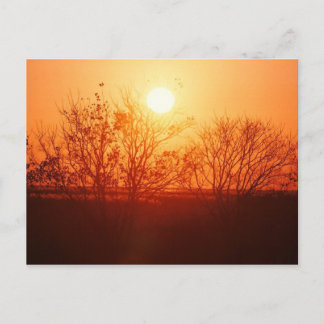 Carte Postale Coucher de soleil sur le Bayou