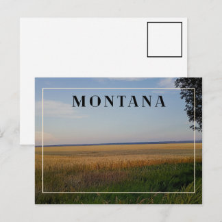 Carte Postale Coucher de soleil sur le blé du Montana