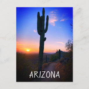 Carte Postale Coucher de soleil sur le cactus saguaro d'Arizona 