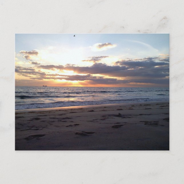 Carte Postale Coucher de soleil sur le golfe de Floride  (Devant)